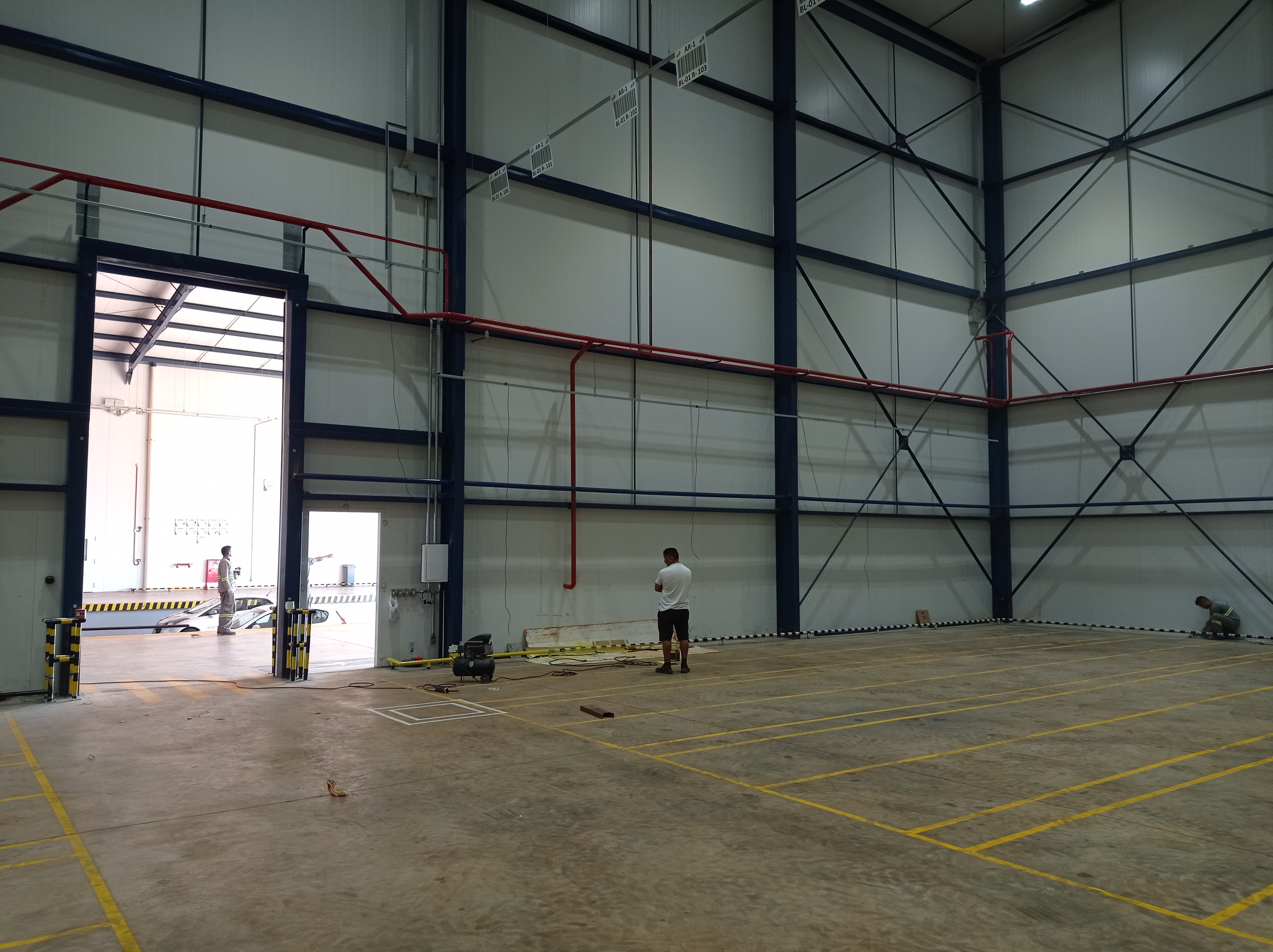 GLOBAL LOGISTICA  
